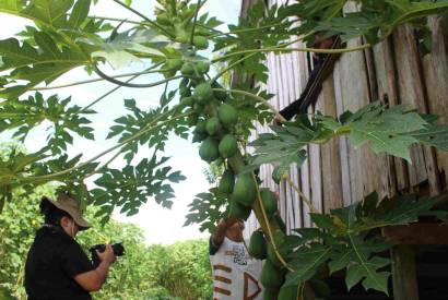 Oficina gratuita de Roteiro para Cinema  oferecida em Manaus como ao do projeto 'Caminho Ancestral