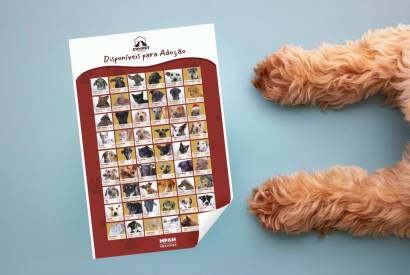 CoMPet a Todos: MPAM lana campanha para adoo de mais de 60 'amigos' caninos e felinos