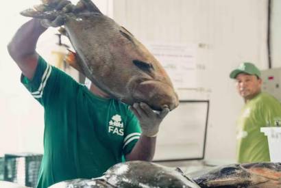 Feira do Tambaqui em Manaus vai vender peixe a partir de R$ 10 o quilo neste fim de semana