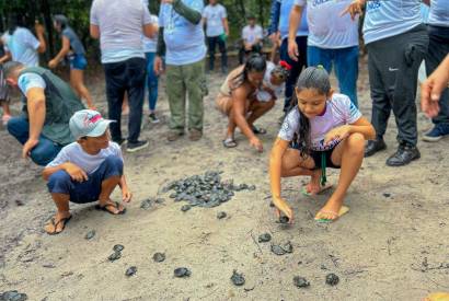 Projeto Casco Vivo fortalece conservao de tartarugas na Amaznia