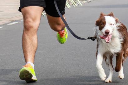 Inscries abertas para a primeira corrida pet de Manaus; competio acontece em novembro