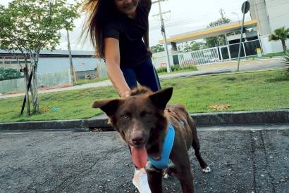 1 Corrida Pet de Manaus ter arrecadao solidria de rao para ONGs de proteo animal