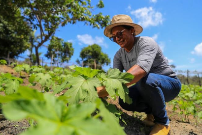 Projeto de agricultura familiar  levado a produtores rurais de Iranduba e Rio Preto da Eva  