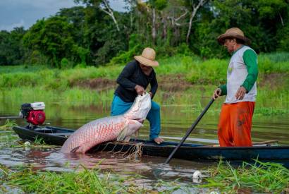 Inscri��es gratuitas para jornada de acelera��o de neg�cios s�o prorrogadas no Amazonas