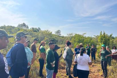 Projetos apoiados pela Eneva no Amazonas j� mobilizaram mais de 400 hectares para restaura��o da vegeta��o nativa