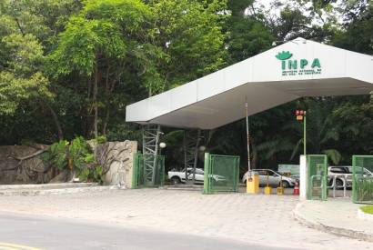 Inpa oferece 18 vagas para Mestrado em Agricultura no Trpico mido 
