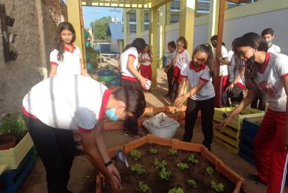 Escola em Parintins une saberes tradicionais e agricultura familiar em prticas educacionais