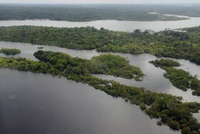 Preservao da Amaznia  prioridade do governo eleito na COP27