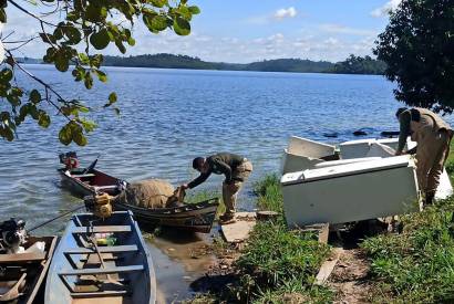 Perodo de defeso: proibio de pesca para oito espcies comea nesta tera-feira no AM