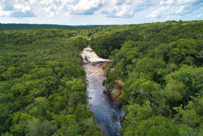 Presidente Figueiredo adota ferramenta da WWF Brasil para reforar monitoramento ambiental do territrio do municpio