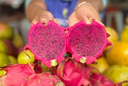 Frutas exticas produzidas no Amazonas ganham destaque nas Feiras de Produtos Regionais da ADS
