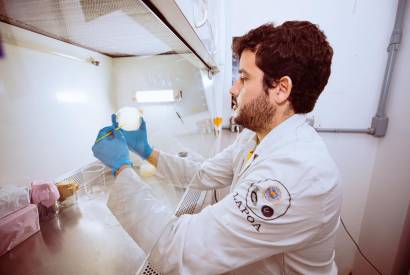 Pesquisa encontra cepas bacterianas com potencial probiticos em peixes amaznicos