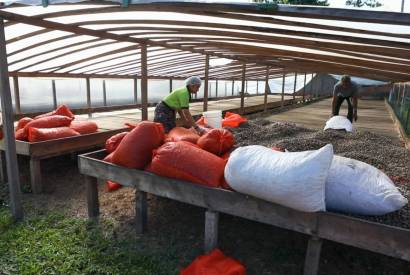 Documentrios visibilizam negcios sustentveis geridos por comunidades tradicionais do interior do Amazonas
