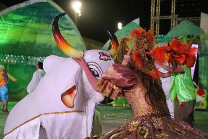 65 Festival Folclrico do Amazonas: conhea os bois-bumbs da categoria Ouro da Master B