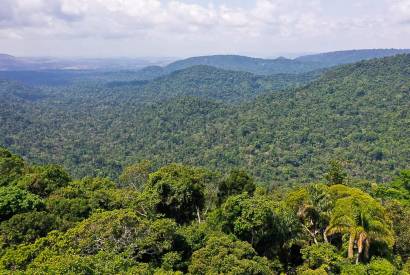 Amaznia  um dos focos da ONU para a Agenda 2030