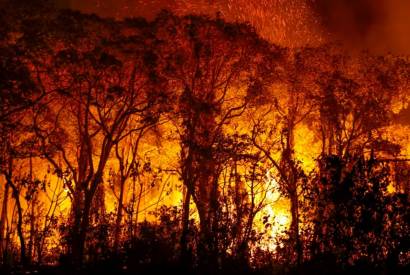 Pantanal tem mais de 3 mil incndios em novembro; recorde histrico